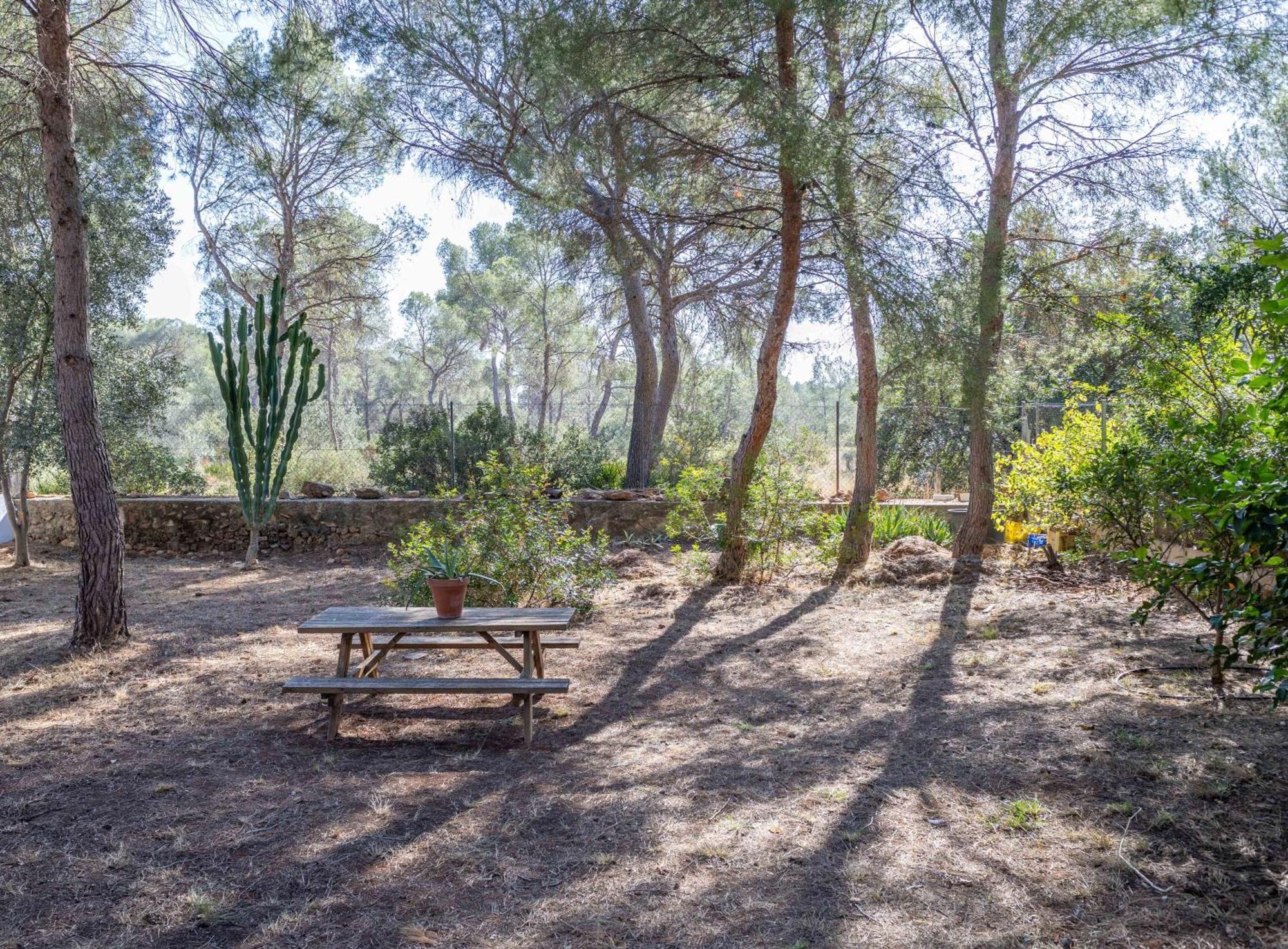 Luxe Vista Daire Serra Dış mekan fotoğraf