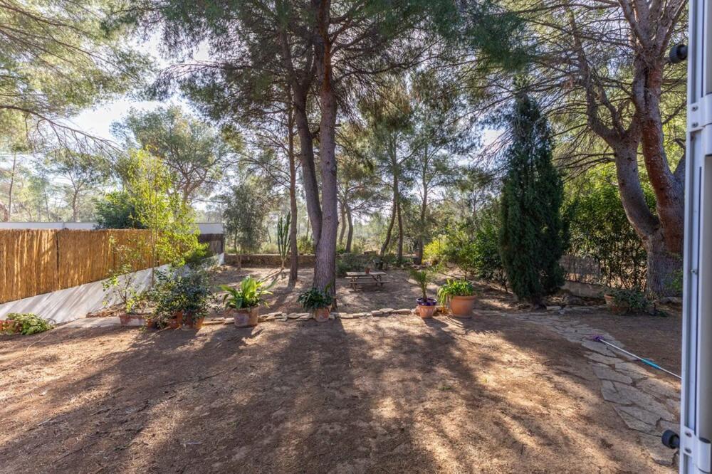Luxe Vista Daire Serra Dış mekan fotoğraf